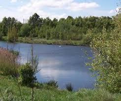 Walton Colliery Nature Park